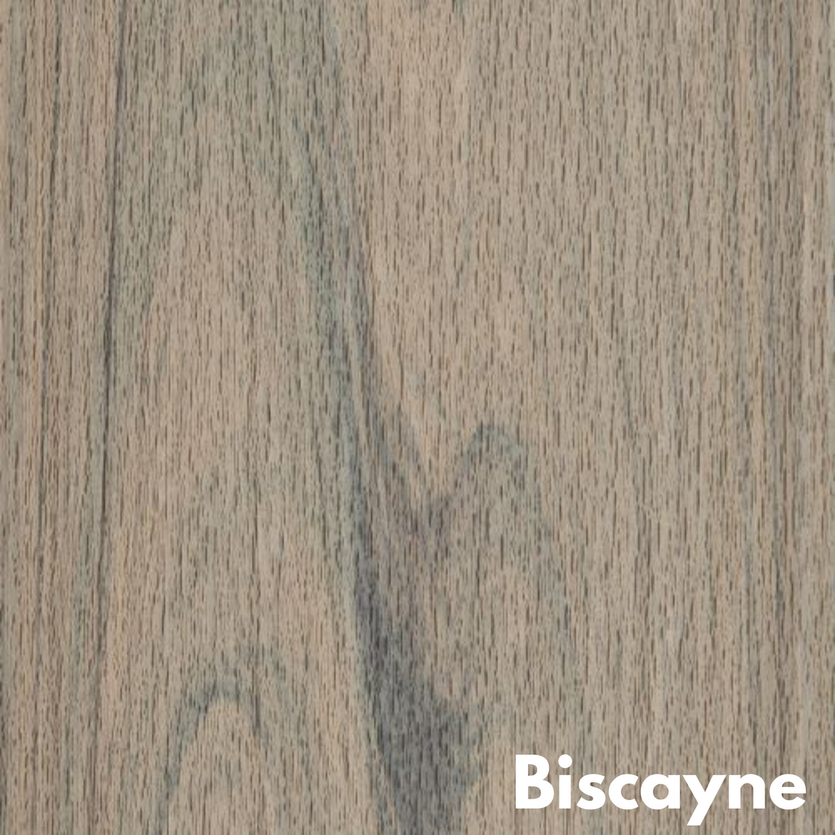 Trex Transcend Composite Decking at MPC Cashway Lumber Lansing