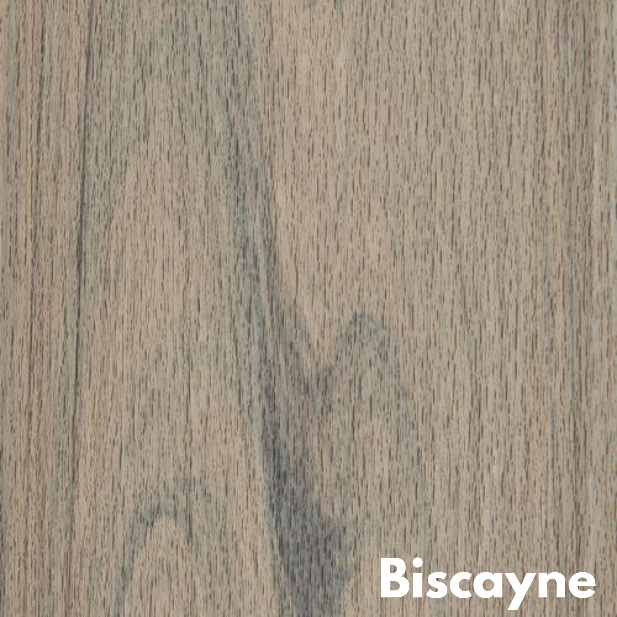 Trex Transcend Composite Decking at MPC Cashway Lumber Lansing Trex Transcend Composite Decking at MPC Cashway Lumber Lansing