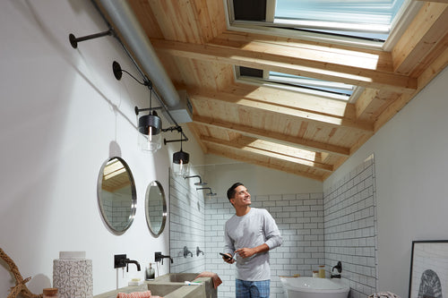 Velux Skylights