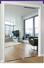 Load image into Gallery viewer, Daiek Door Systems Mirrored Door